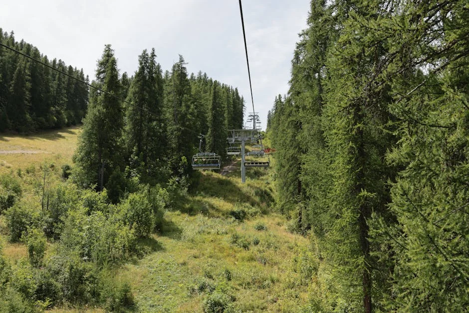 Saint Vincent ve Grenadinler